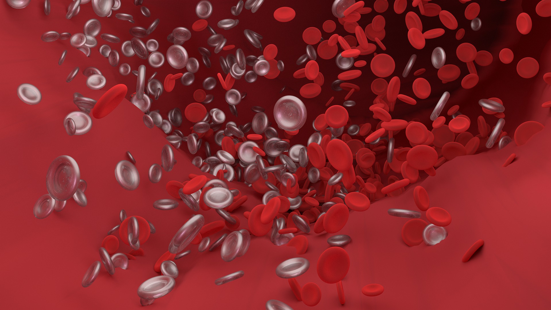 Blood cells.