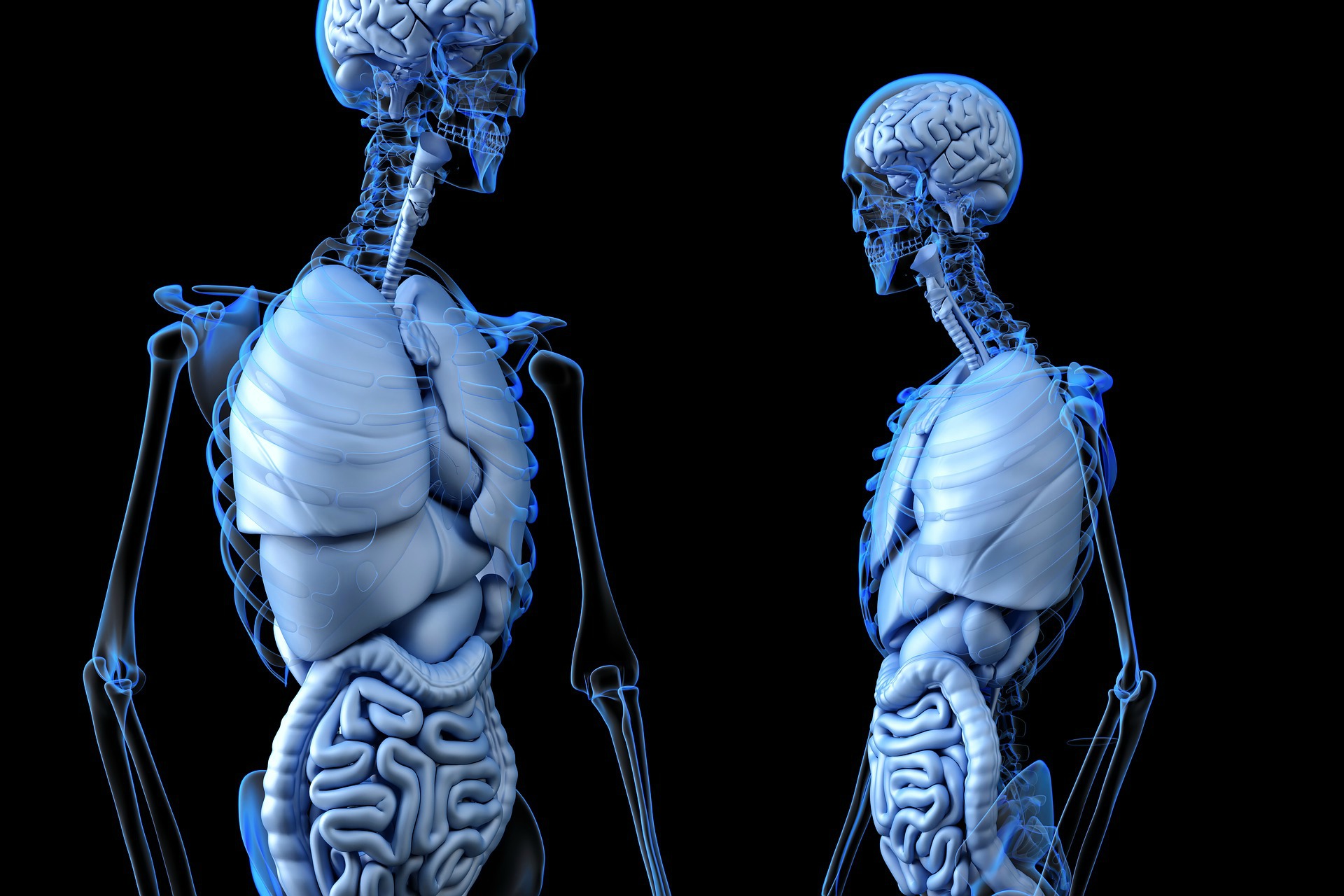 Vitamin D's role in your health, from normal body systems functioning to fighting disease.